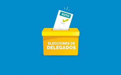 Elecciones 2020